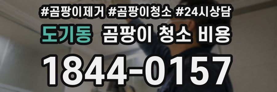도기동 곰팡이 청소 비용