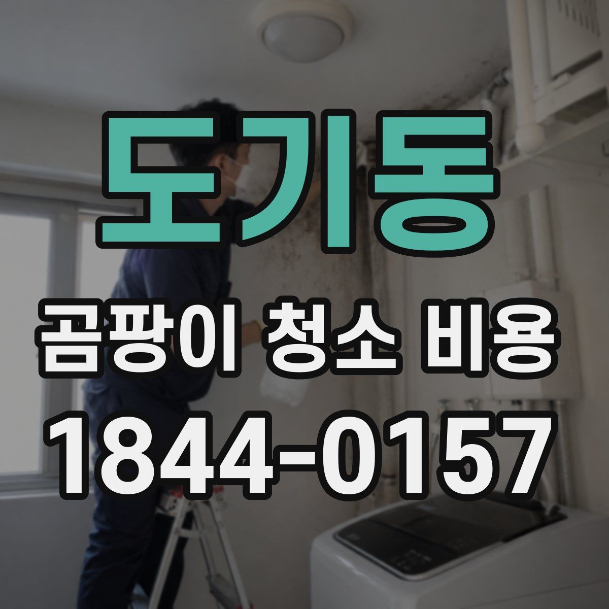 도기동 곰팡이 청소 비용