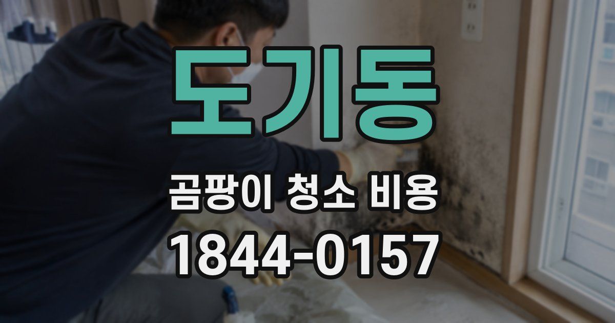도기동 곰팡이 청소 비용