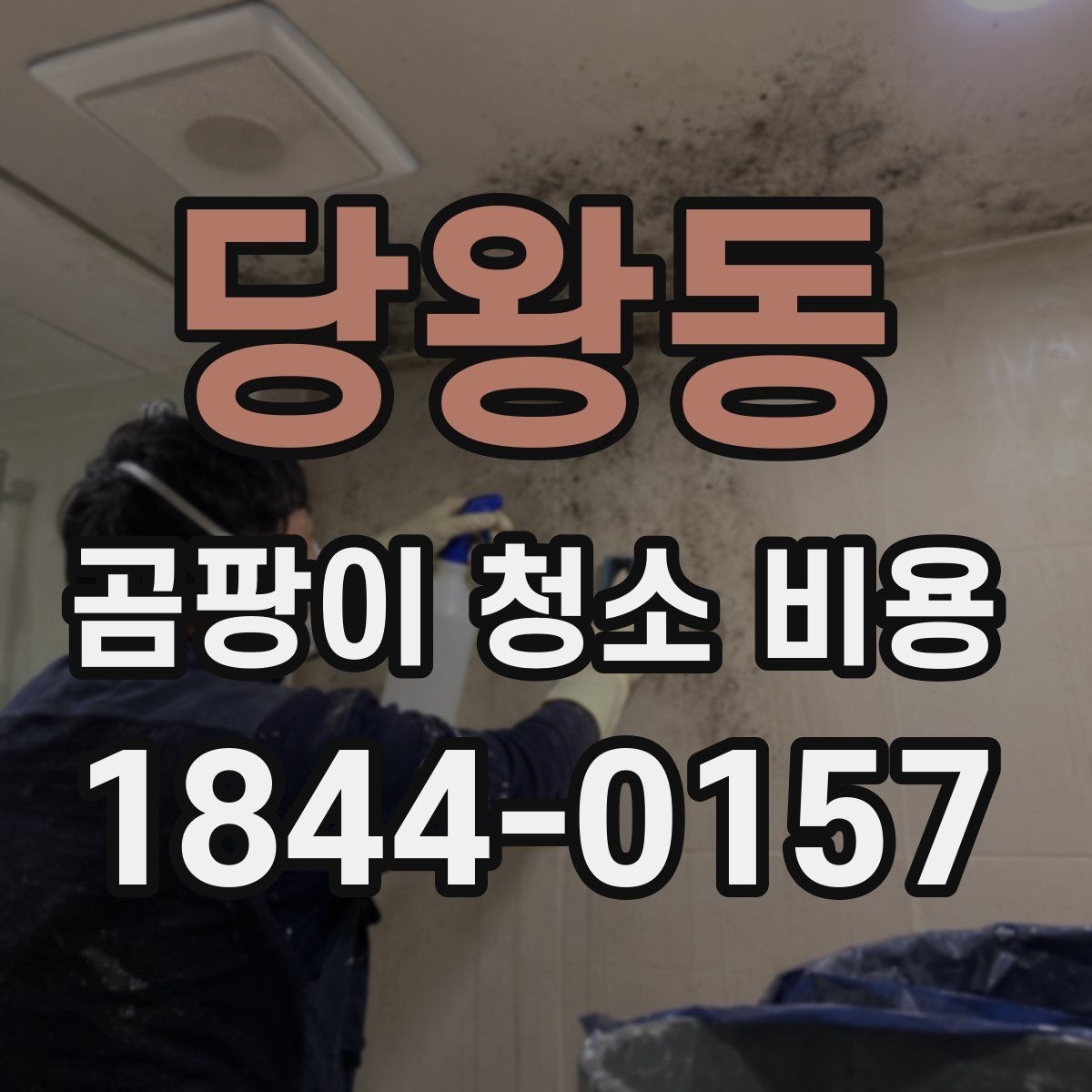 당왕동 곰팡이 청소 비용