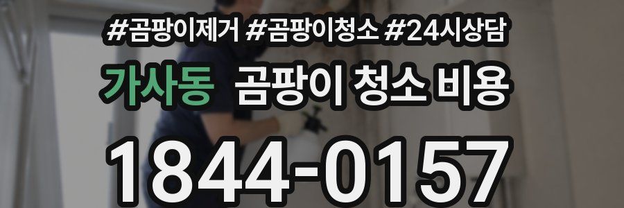 가사동 곰팡이 청소 비용
