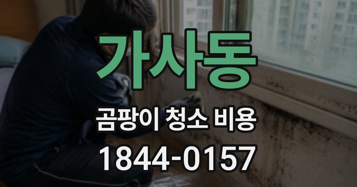 가사동 곰팡이 청소 비용