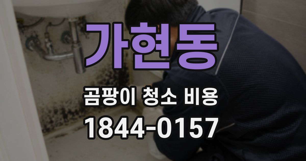 가현동 곰팡이 청소 비용