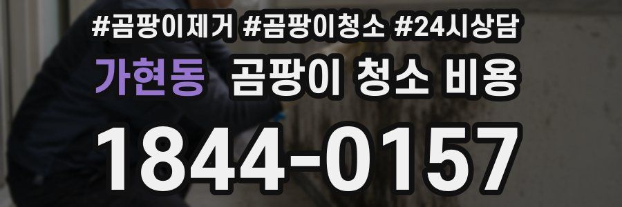 가현동 곰팡이 청소 비용