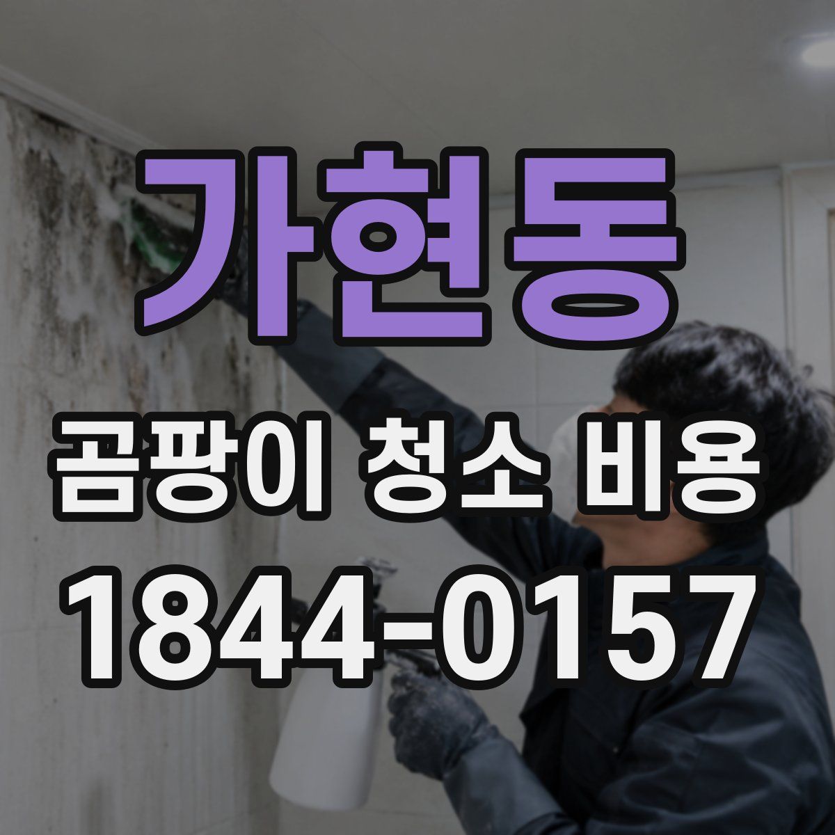 가현동 곰팡이 청소 비용