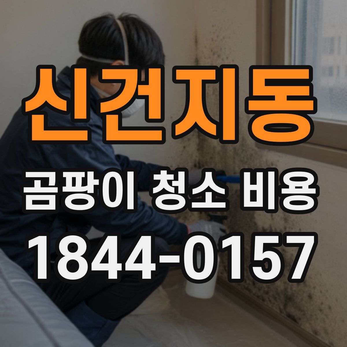 신건지동 곰팡이 청소 비용