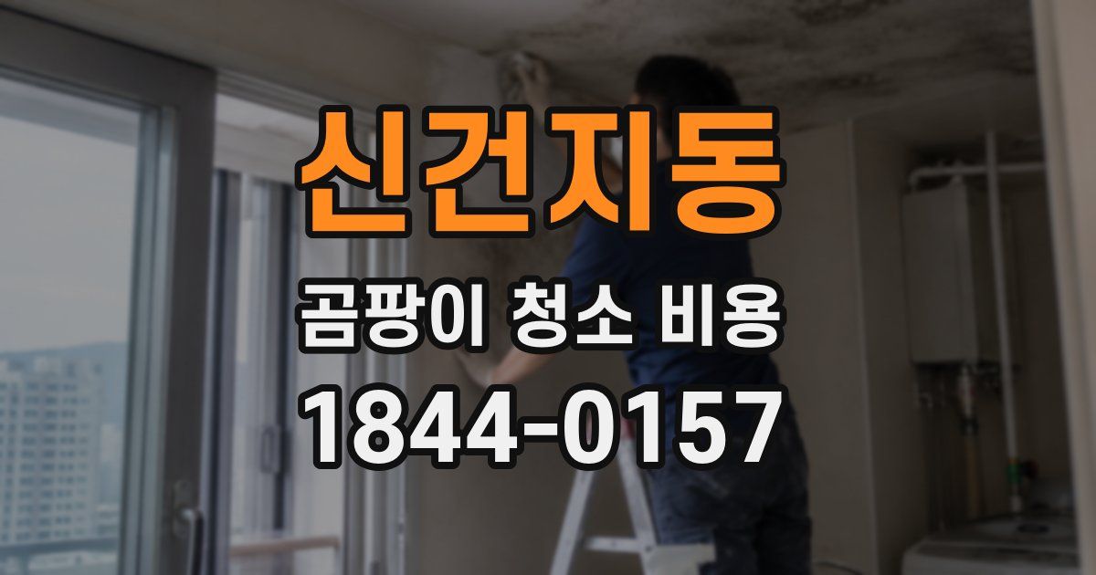 신건지동 곰팡이 청소 비용
