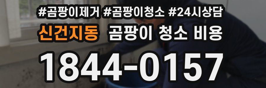신건지동 곰팡이 청소 비용