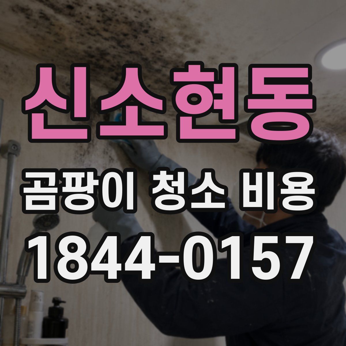 신소현동 곰팡이 청소 비용
