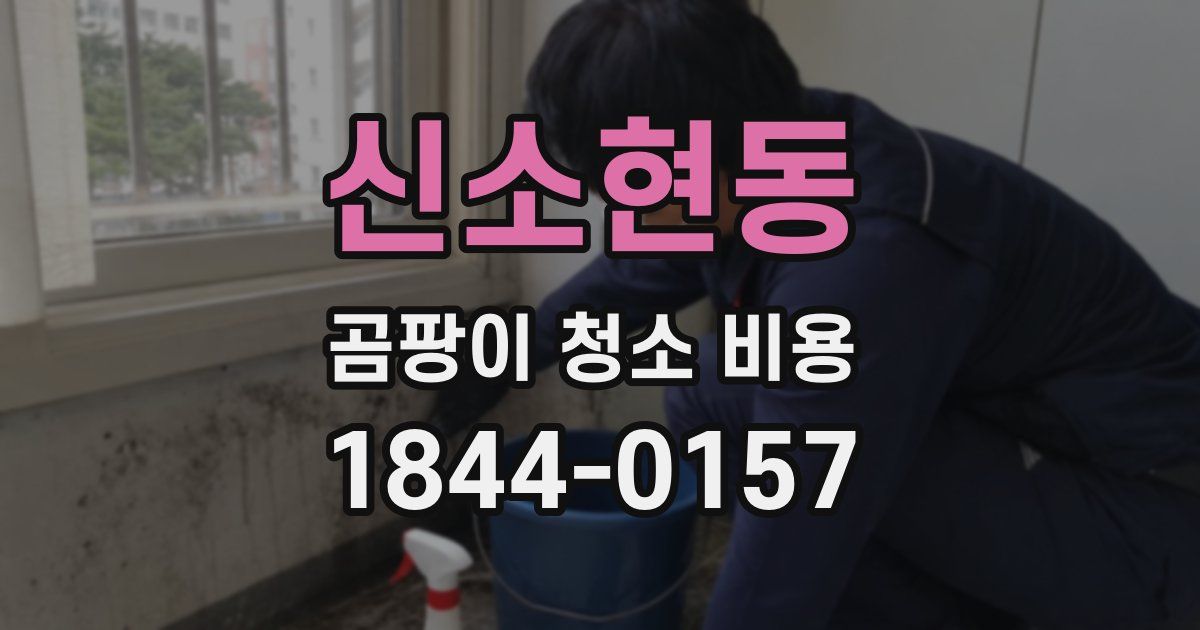 신소현동 곰팡이 청소 비용
