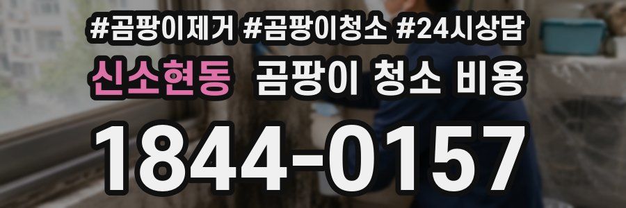 신소현동 곰팡이 청소 비용