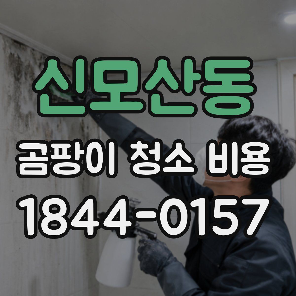 신모산동 곰팡이 청소 비용