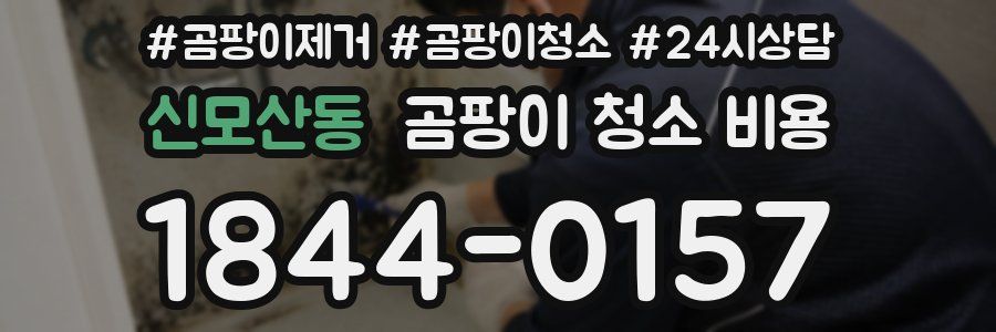신모산동 곰팡이 청소 비용