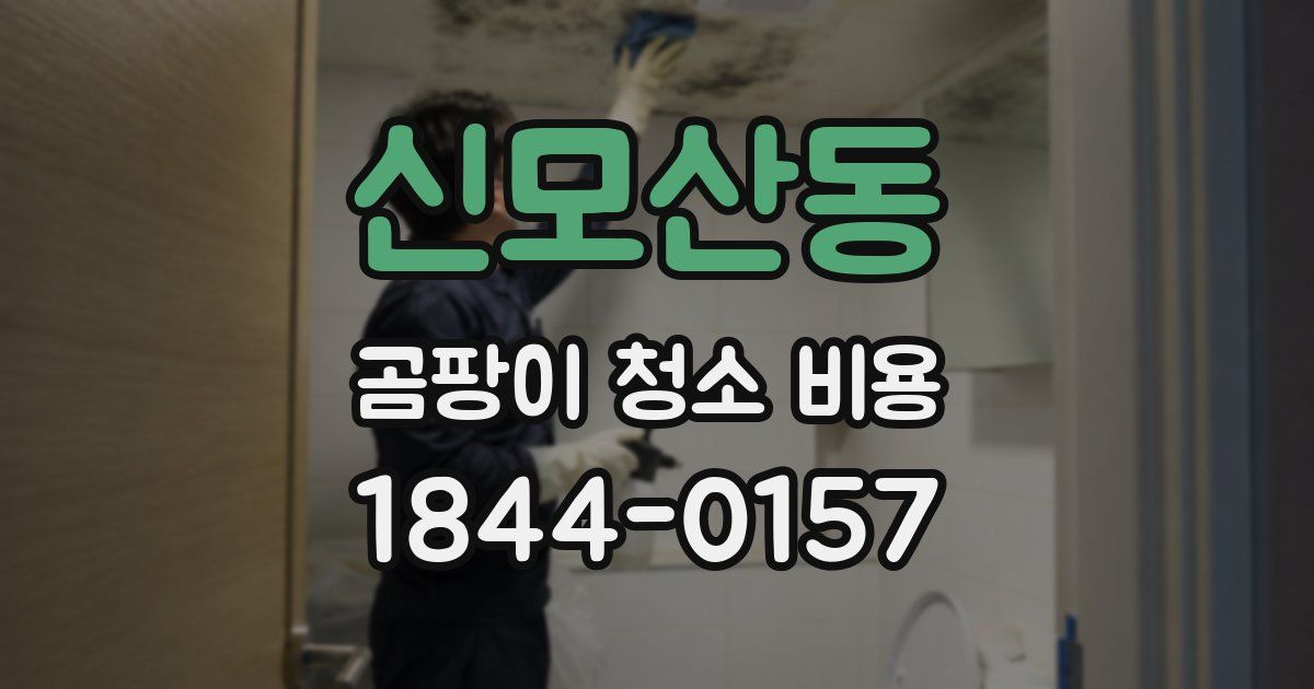 신모산동 곰팡이 청소 비용