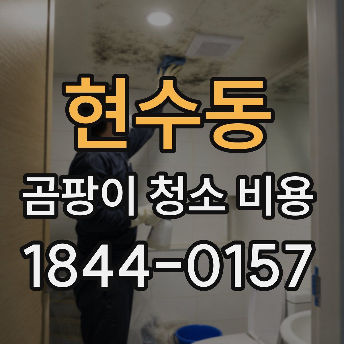현수동 곰팡이 청소 비용 사진만으로 알 수 없는 부분