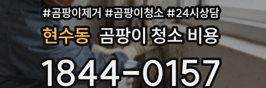 현수동 곰팡이 청소 비용