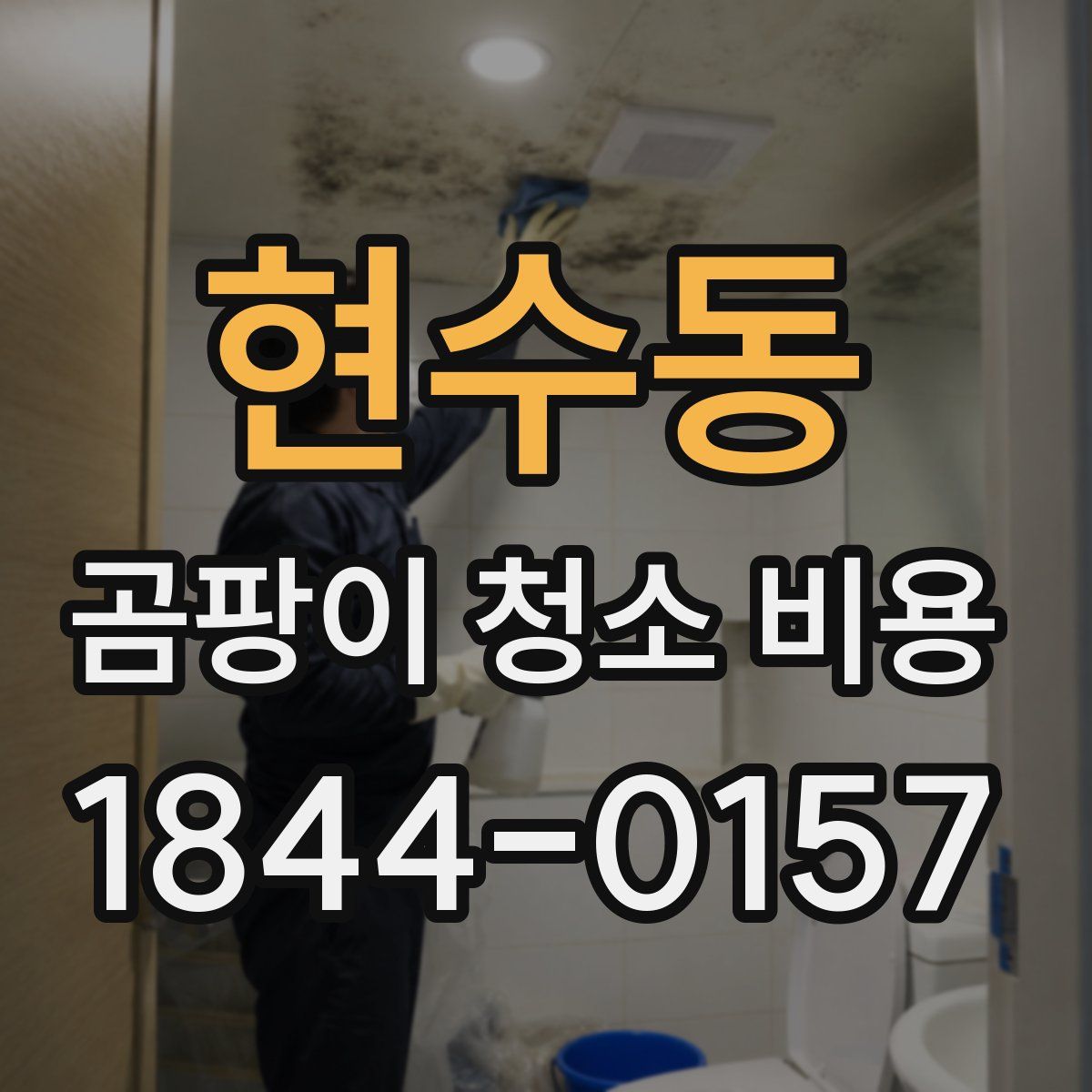 현수동 곰팡이 청소 비용