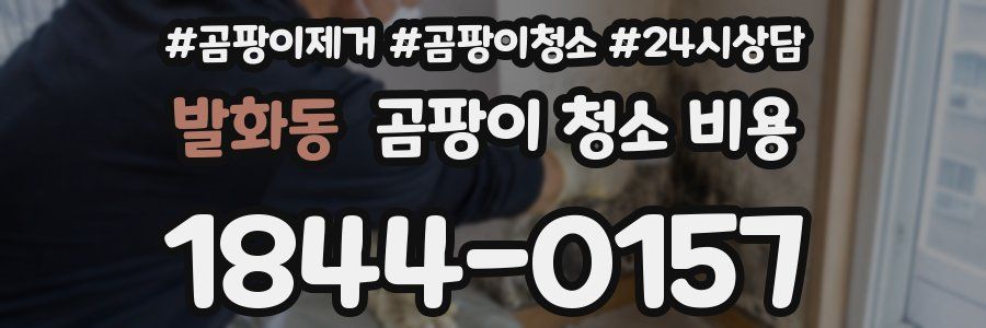 발화동 곰팡이 청소 비용