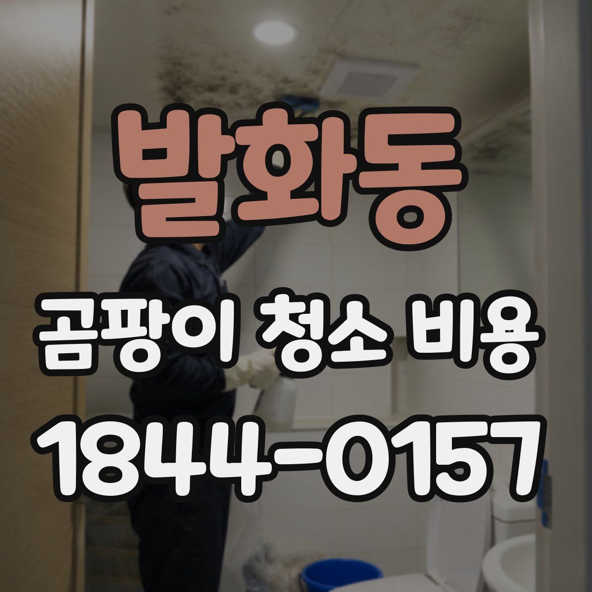 발화동 곰팡이 청소 비용