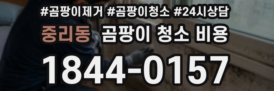 중리동 곰팡이 청소 비용