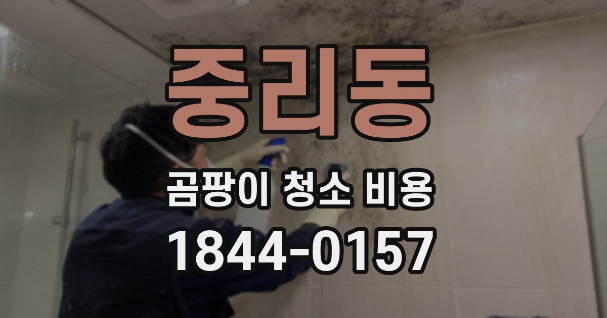 중리동 곰팡이 청소 비용