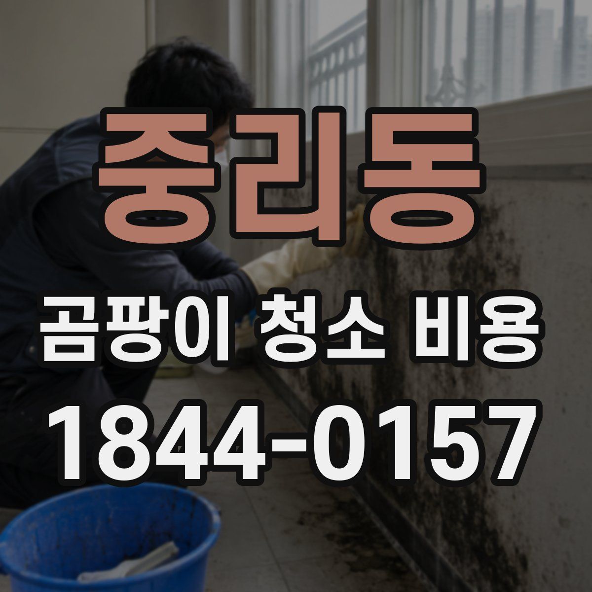 중리동 곰팡이 청소 비용
