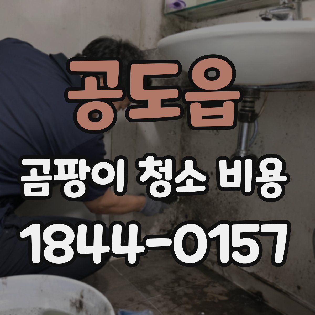 공도읍 곰팡이 청소 비용