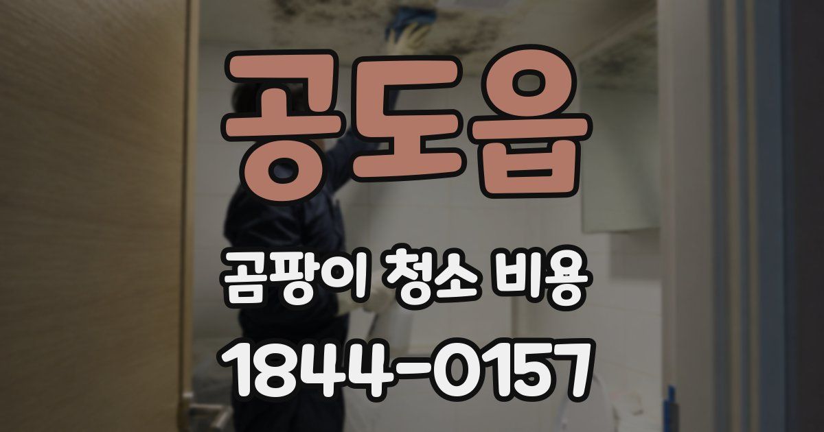 공도읍 곰팡이 청소 비용