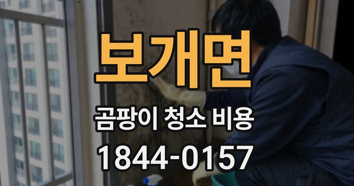 보개면 곰팡이 청소 비용