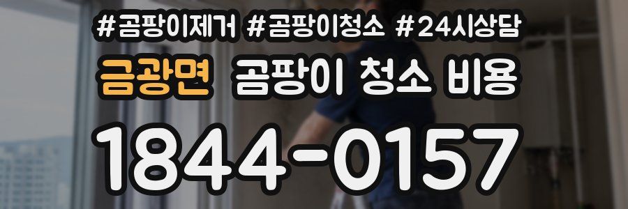 금광면 곰팡이 청소 비용