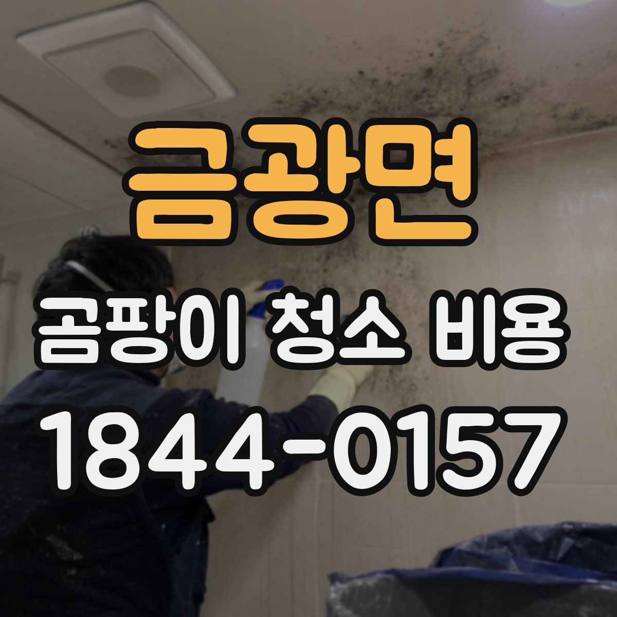 금광면 곰팡이 청소 비용