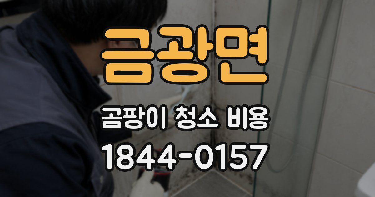 금광면 곰팡이 청소 비용