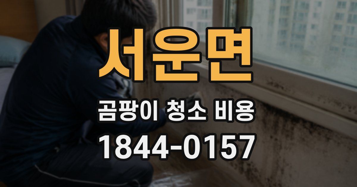 서운면 곰팡이 청소 비용