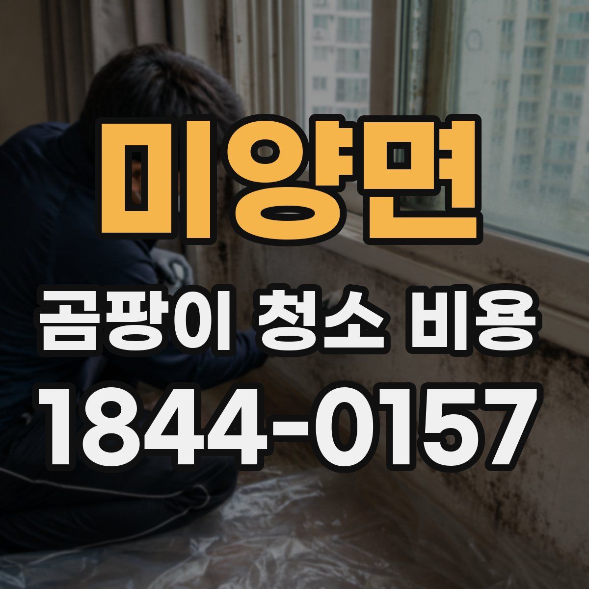 미양면 곰팡이 청소 비용