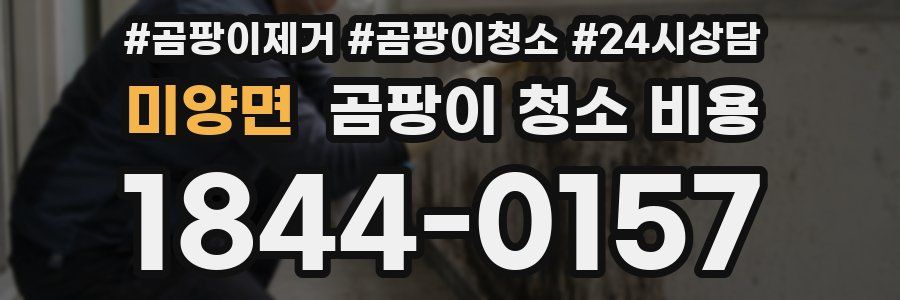 미양면 곰팡이 청소 비용