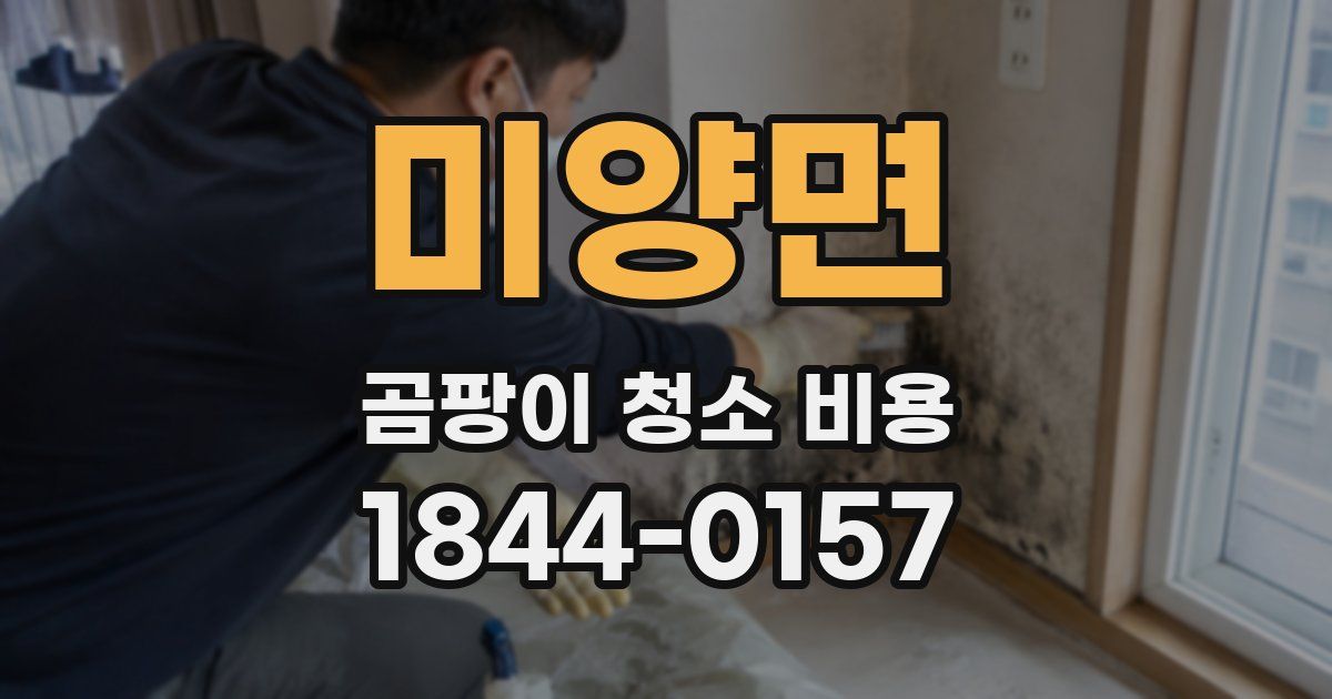 미양면 곰팡이 청소 비용