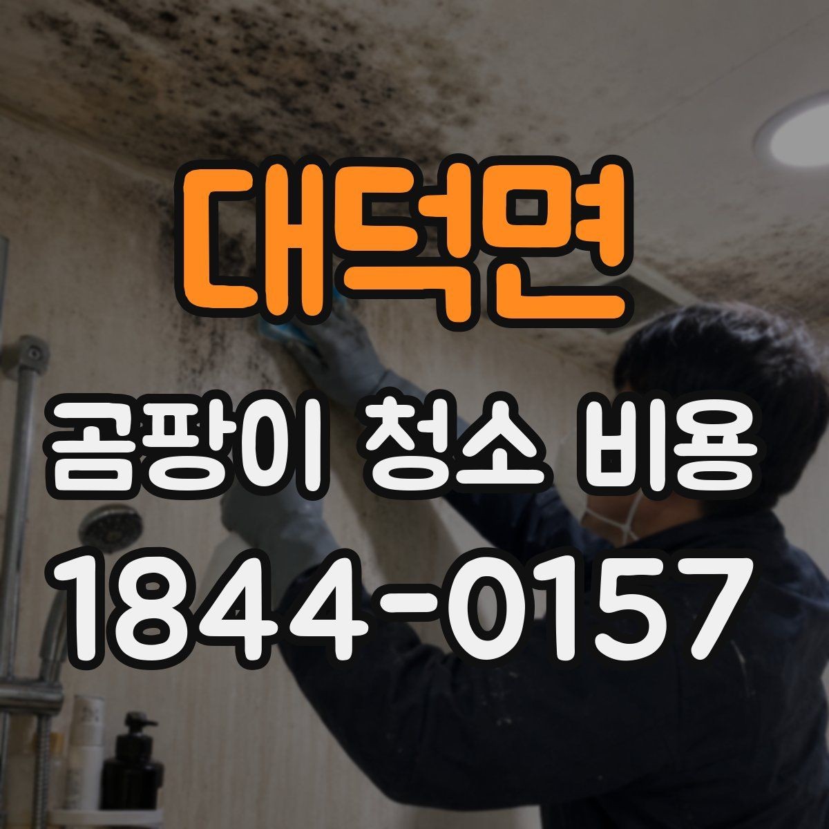 대덕면 곰팡이 청소 비용 실리콘 곰팡이가 잘 생기는 공간의 조건