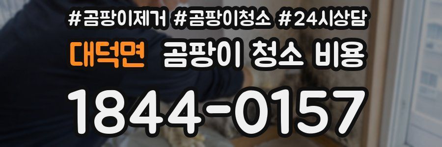 대덕면 곰팡이 청소 비용
