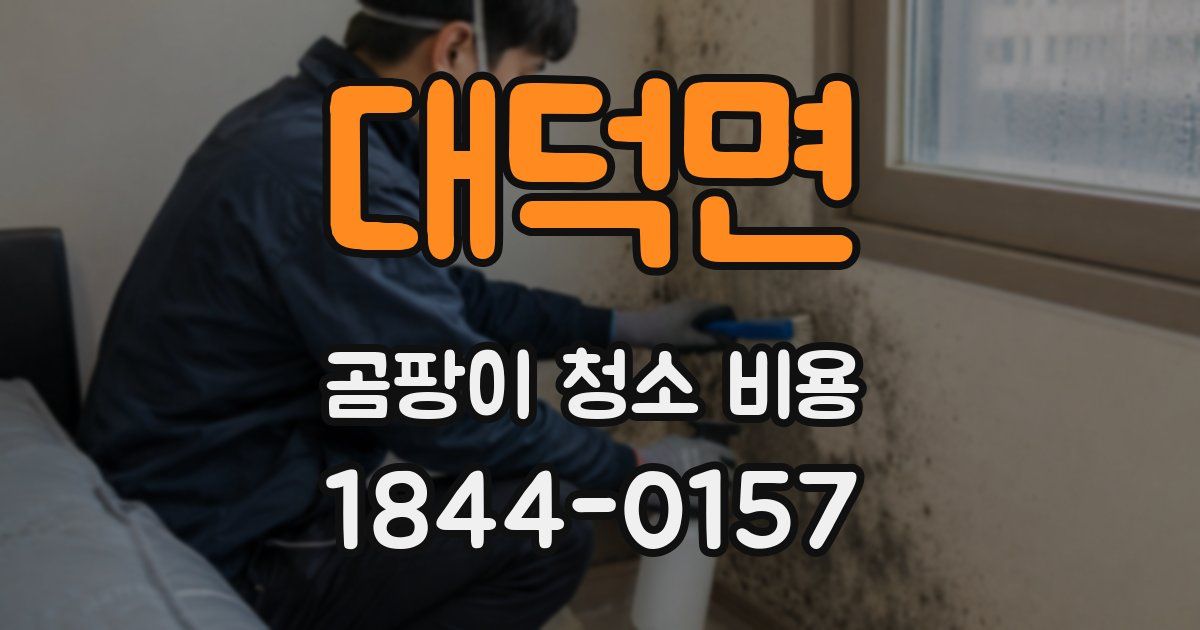 대덕면 곰팡이 청소 비용