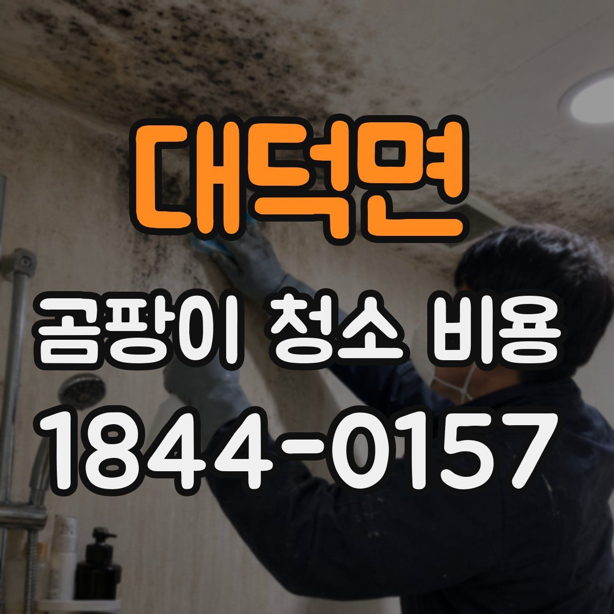 대덕면 곰팡이 청소 비용