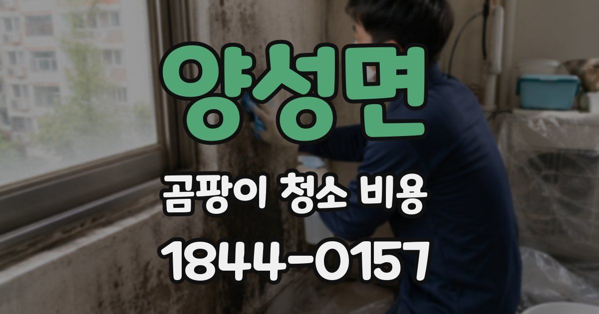 양성면 곰팡이 청소 비용