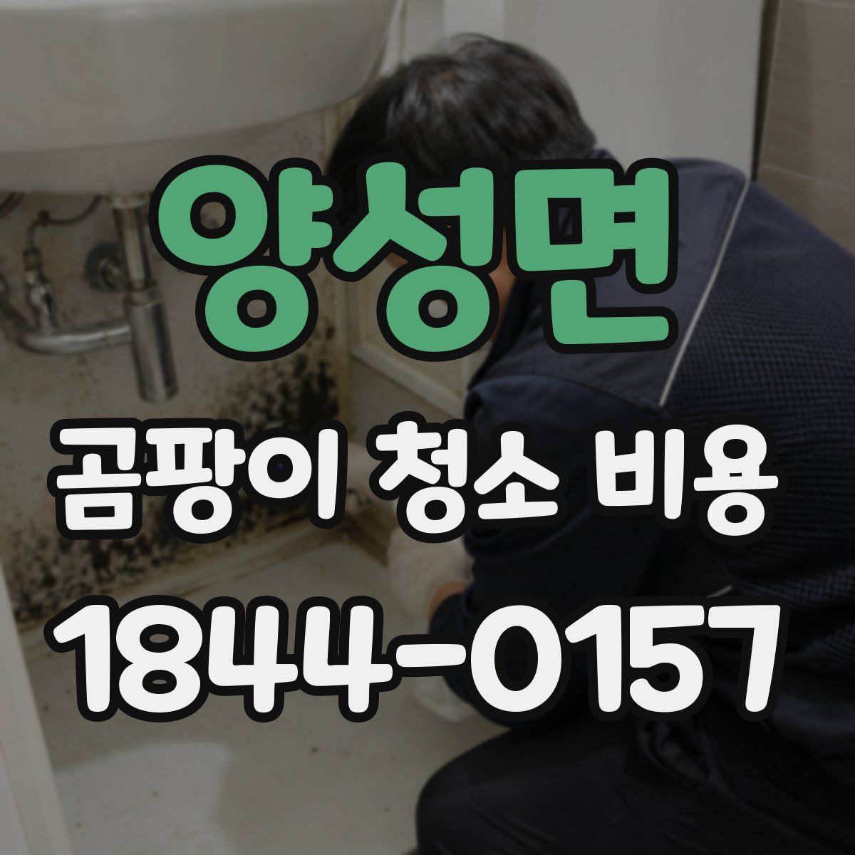 양성면 곰팡이 청소 비용