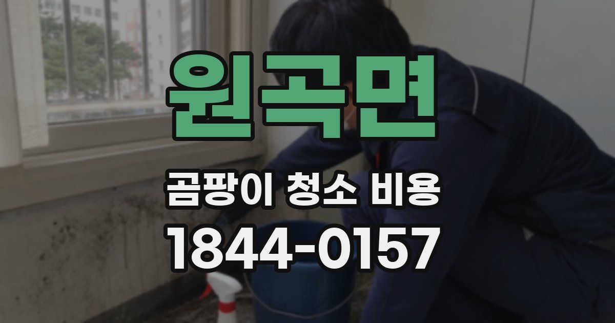 원곡면 곰팡이 청소 비용
