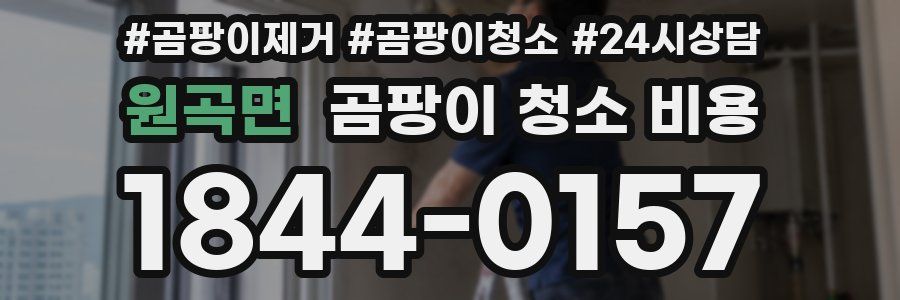 원곡면 곰팡이 청소 비용