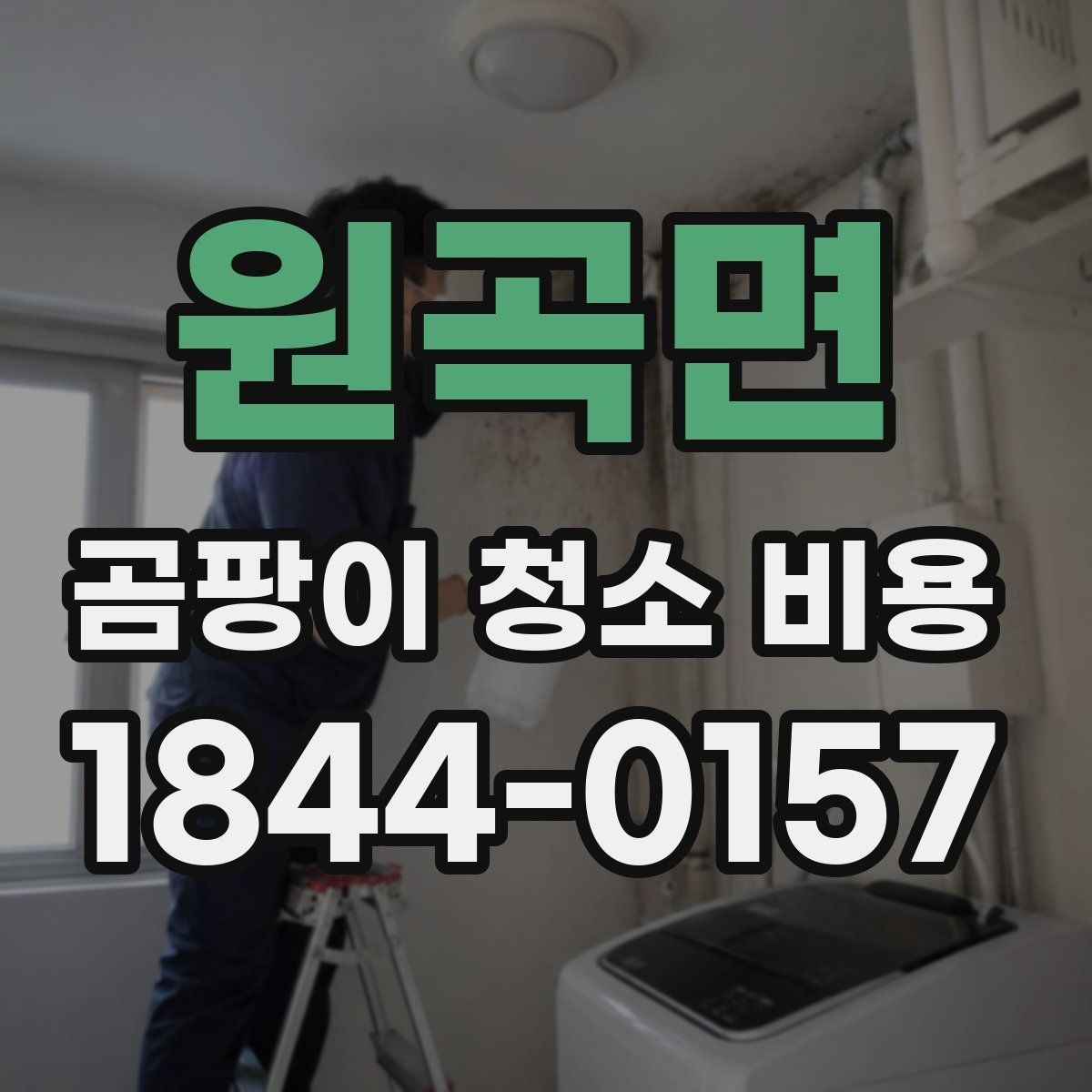 원곡면 곰팡이 청소 비용