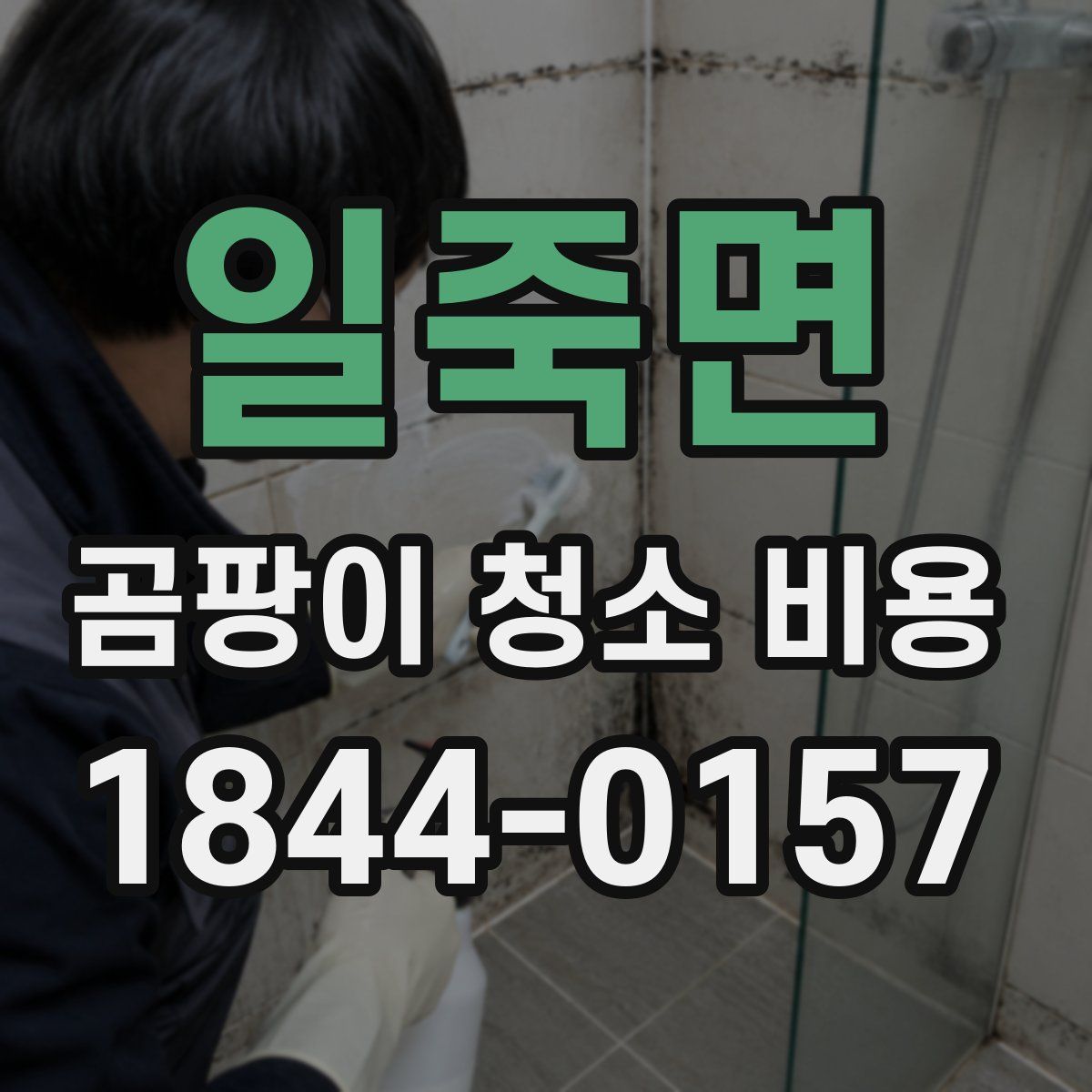 일죽면 곰팡이 청소 비용