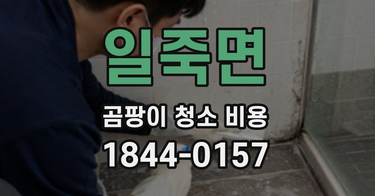 일죽면 곰팡이 청소 비용