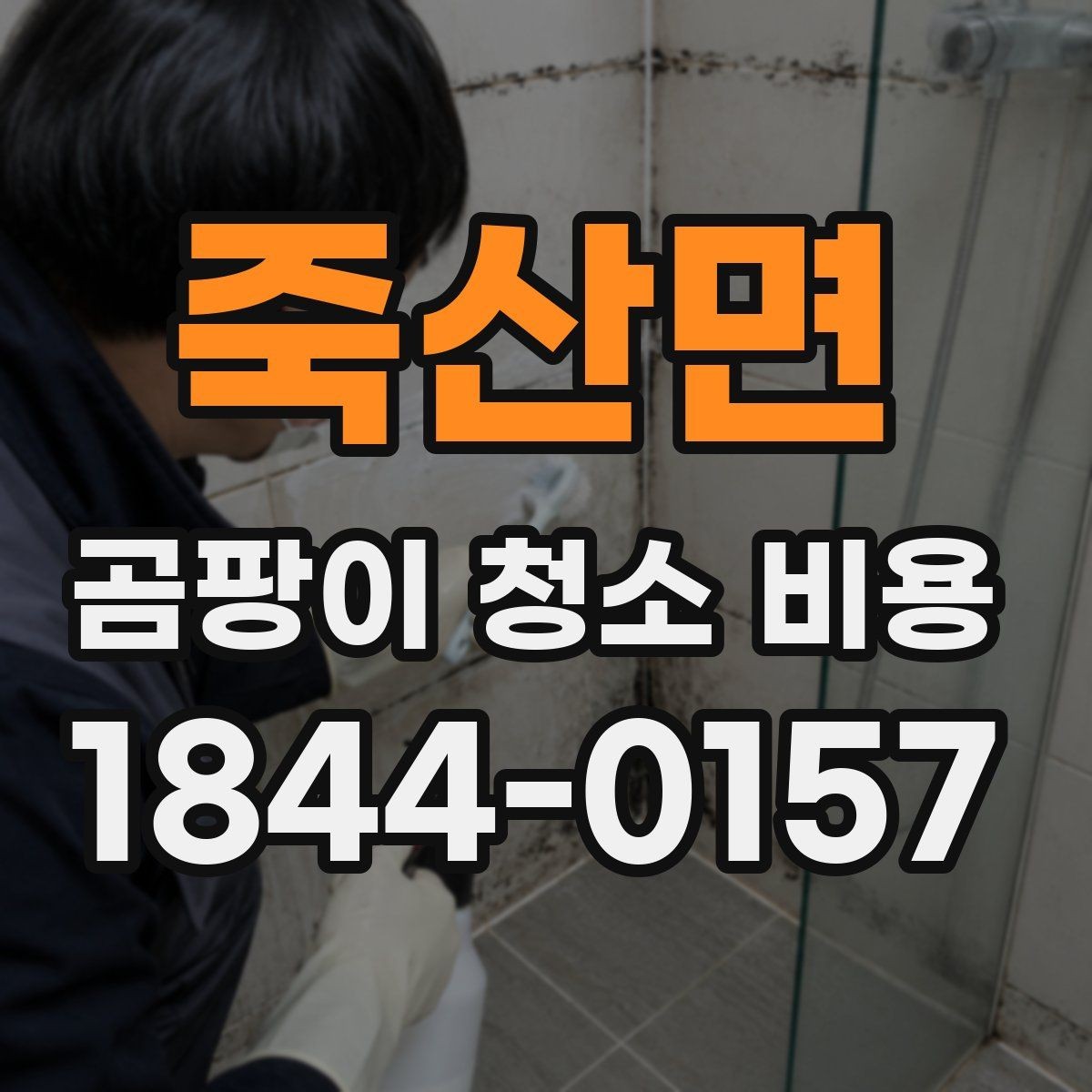 죽산면 곰팡이 청소 비용 천장과 몰딩 주변이 더 손이 가는 이유