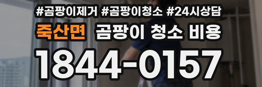 죽산면 곰팡이 청소 비용