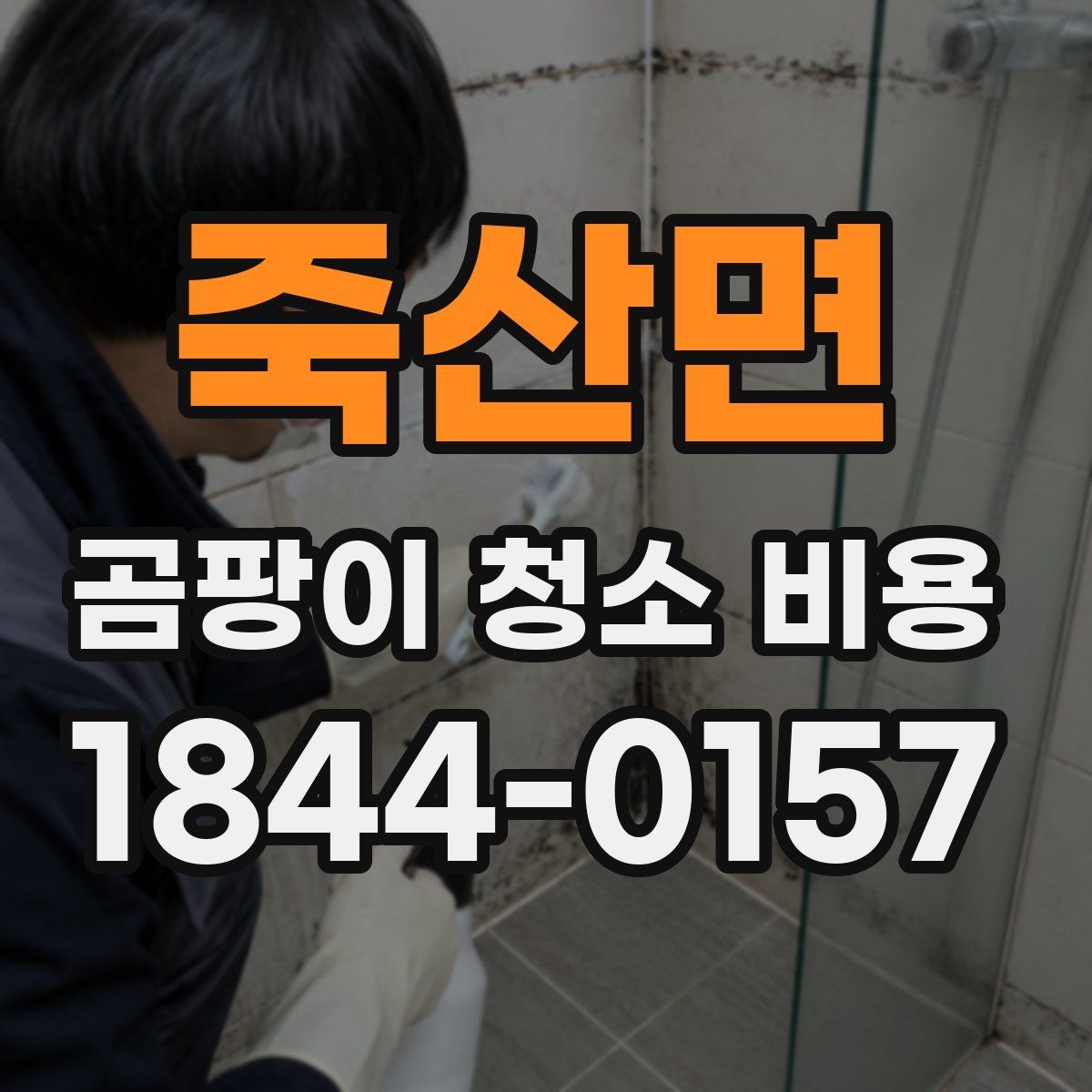 죽산면 곰팡이 청소 비용